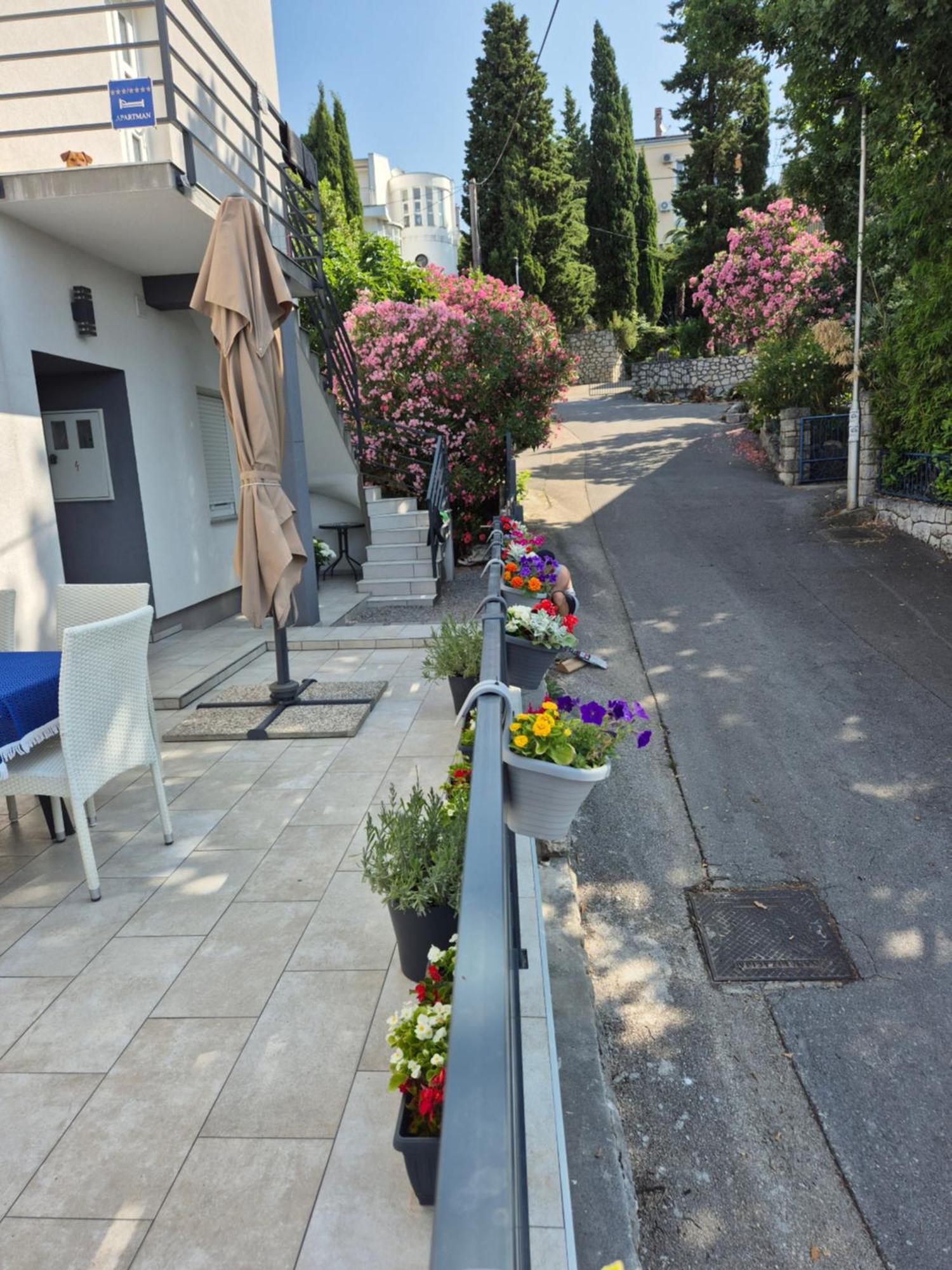 Rippl Crikvenica