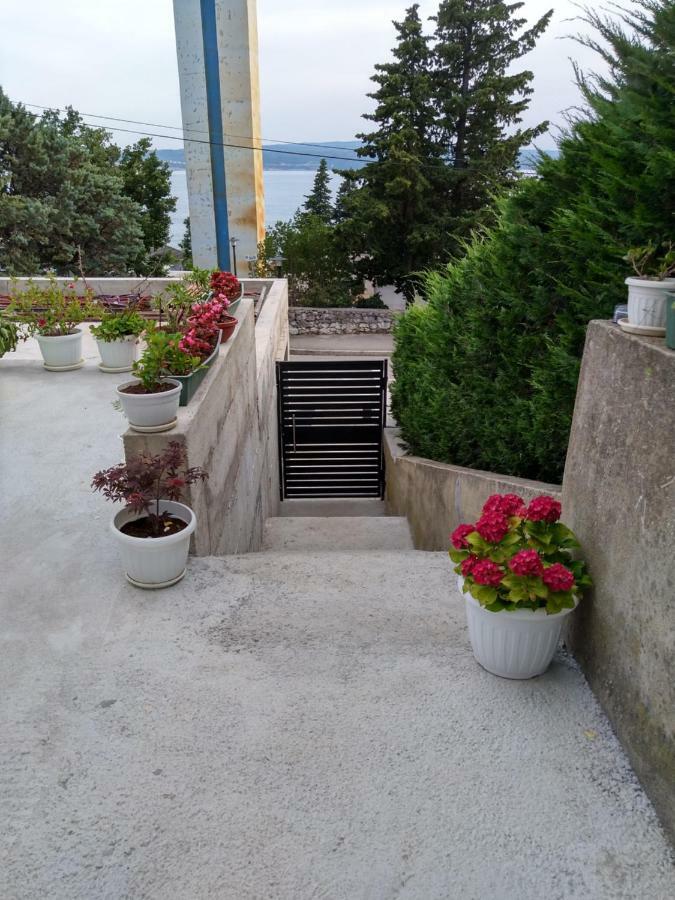 Apartman Rippl *